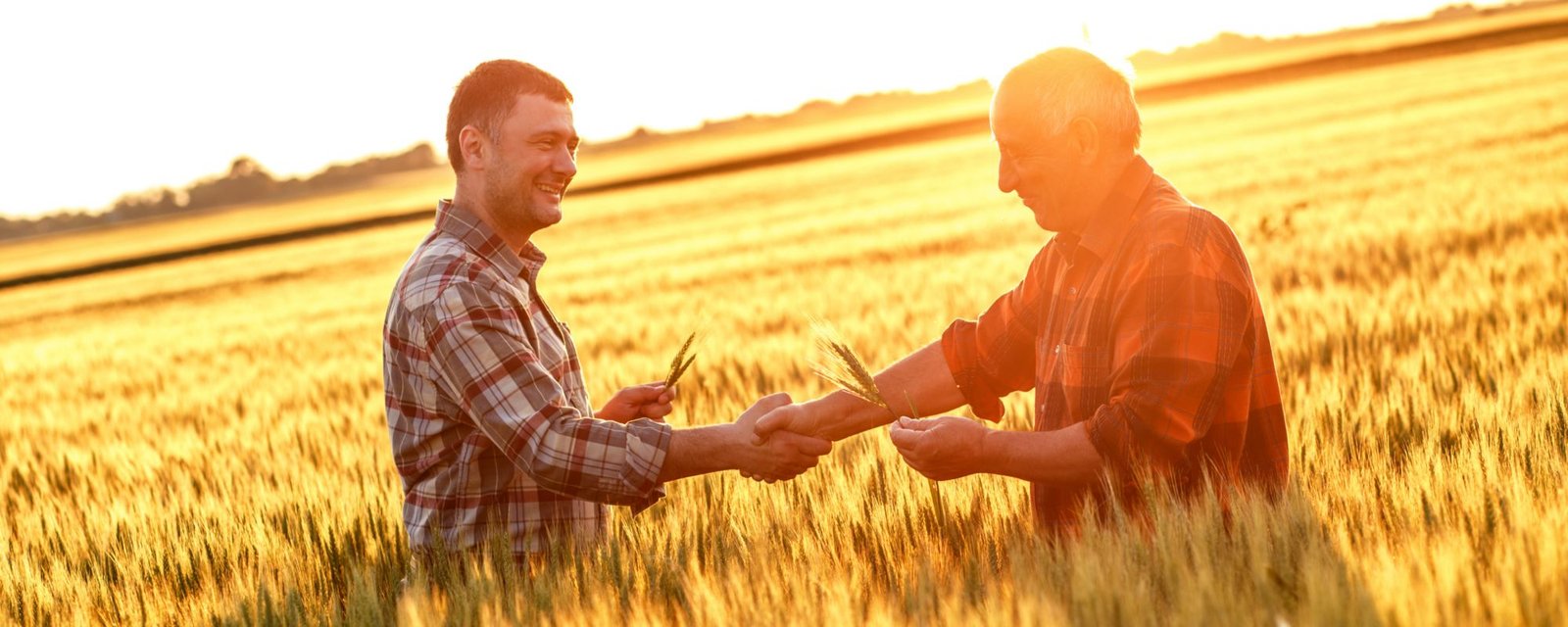 Farmers in a field