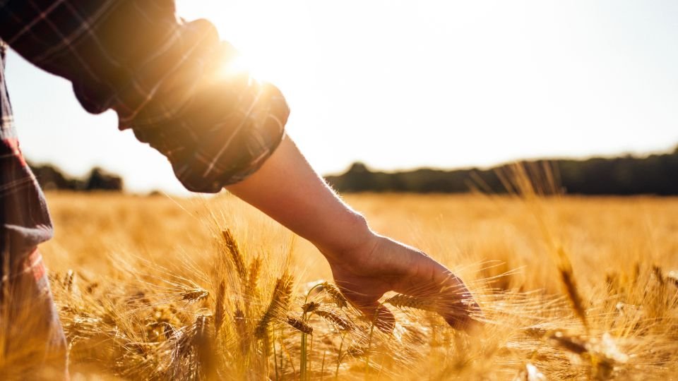 Agriculture
